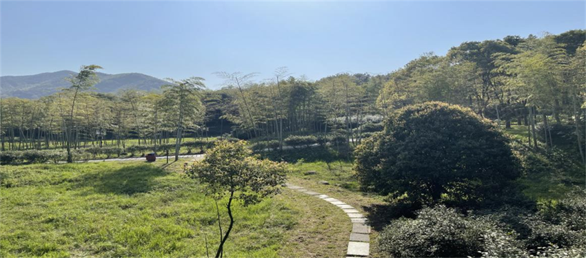 亲友游戏中心-亲友多乐斗-亲友天天坦克大战